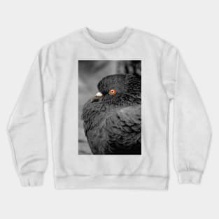 Feather Noir. Black and White Pigeon Photograph Crewneck Sweatshirt